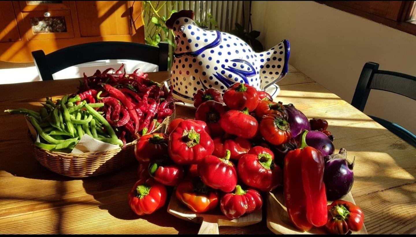 شقة Il Giardino Di Frafa كوارتو سانتيلينا المظهر الخارجي الصورة